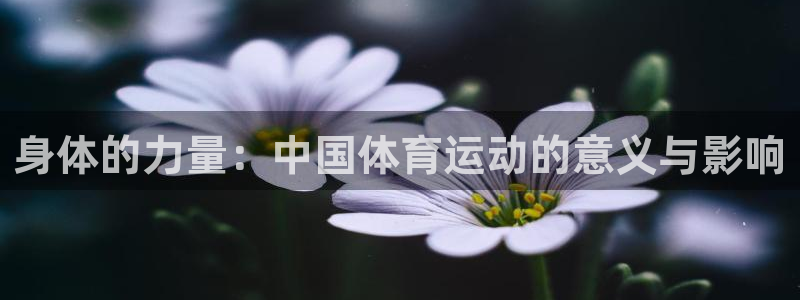 意昂平台主管