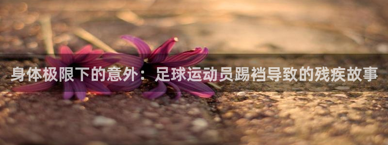 意昂体育注册