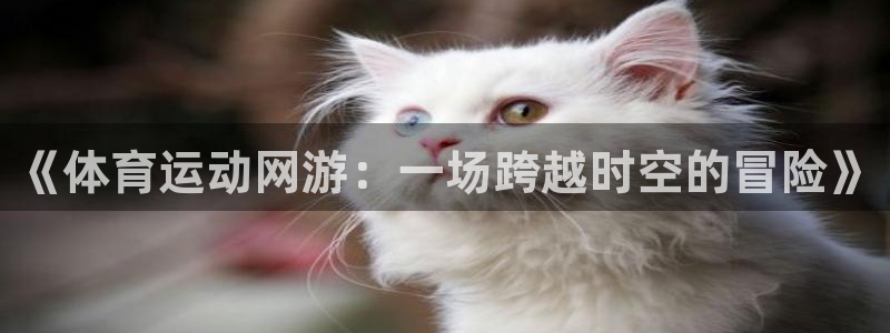 意昂4官网