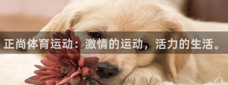 胜天国际体育官网入口登录