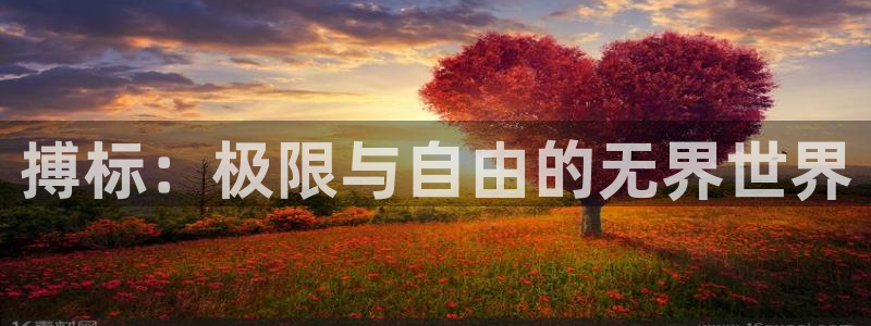 胜天国际4开户