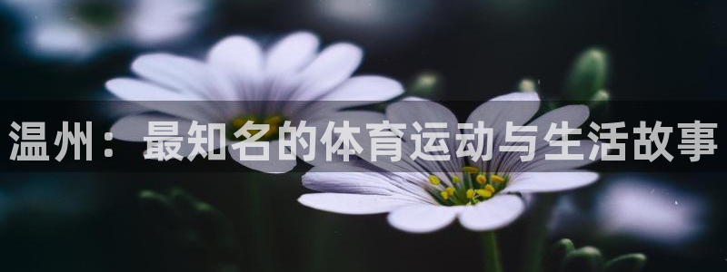 东莞市胜天国际电子科技有限公司