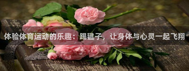 意昂新能源汽车科技有限公司