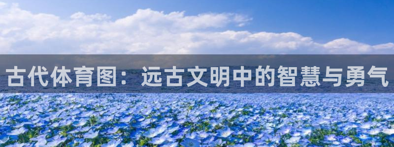 胜天国际体育代理申请流程