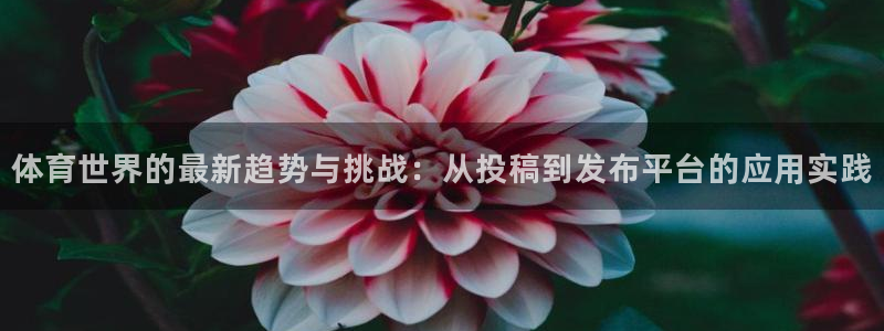 意昂总代