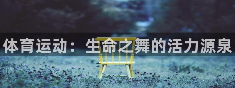 成都胜天国际电子有限公司