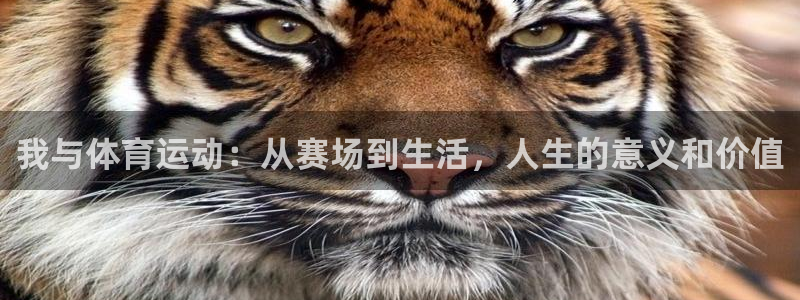 胜天国际集团官网